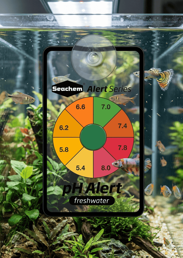 Seachem Aquatics Seachem pH Alert® | Continuous Freshwater pH Monitor
