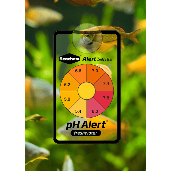 Seachem Aquatics Seachem pH Alert® | Continuous Freshwater pH Monitor