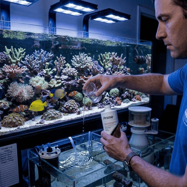 Seachem Aquatics Seachem Prime | Complete Water Conditioner & Ammonia Detoxifier