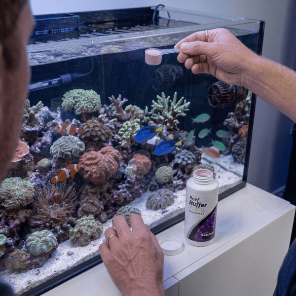 Seachem Aquatics Seachem Reef Buffer | High-pK pH 8.3 Stabilizer for Corals