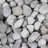 files/seachem-filter-media-seachem-matrix-high-capacity-bio-media-for-ammonia-nitrate-1231281568.jpg