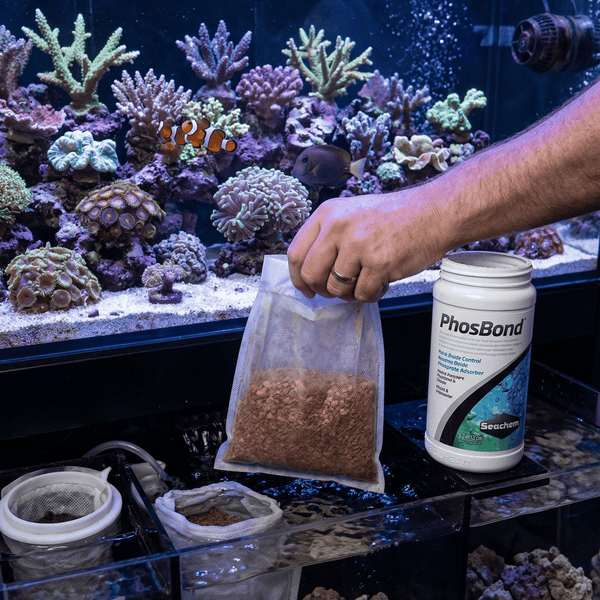 Seachem Filter Media Seachem PhosBond | Hybrid Phosphate & Silicate Remover
