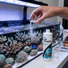 Seachem Food Seachem Reef Zooplankton | 12.5-500 Micrometer Coral Food