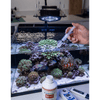 Triton Aquatics Triton Bromine (Br) | Essential Trace Element Supplement