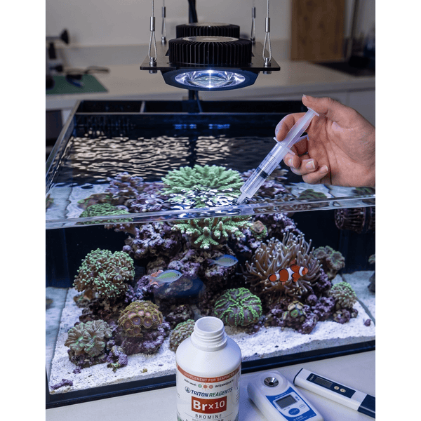 Triton Aquatics Triton Bromine (Br) | Essential Trace Element Supplement