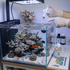 files/triton-aquatics-triton-molybdenum-mo-100ml-trace-element-for-reef-health-1237081827.png