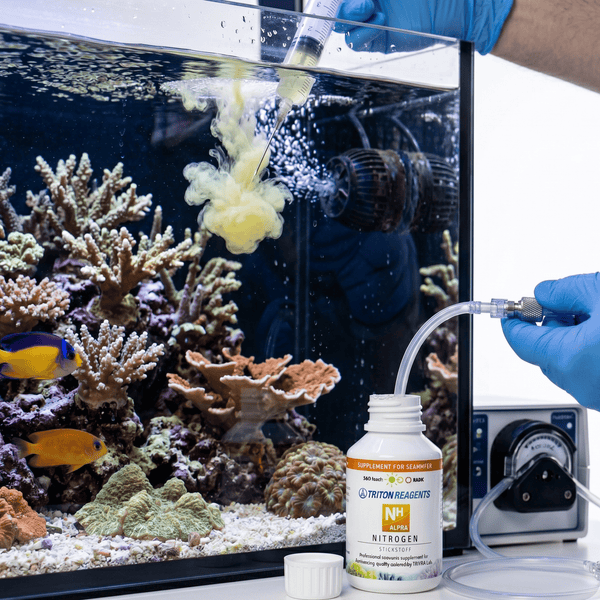 Triton Aquatics Triton NH Alpha 100ml | Ammonium-Based Nitrogen Supplement