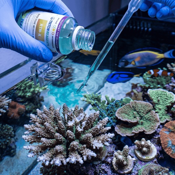 Triton Aquatics Triton RTN-X 100ml | Rapid Tissue Necrosis Treatment