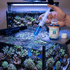files/triton-aquatics-triton-vanadium-100ml-trace-element-for-sponges-corals-1235055629.png