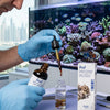 Tropic Marin Additives & Supplements Tropic Marin® IOD – Concentrated Lugol’s Iodine Solution