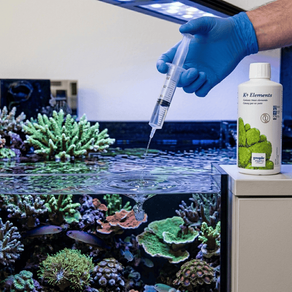 Tropic Marin Aquatics 1000ml Tropic Marin Coral K+ Elements 1000 ml | Cationic Trace Supplement