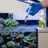 files/tropic-marin-aquatics-1000ml-tropic-marin-coral-k-elements-1000-ml-cationic-trace-supplement-1238238683.png