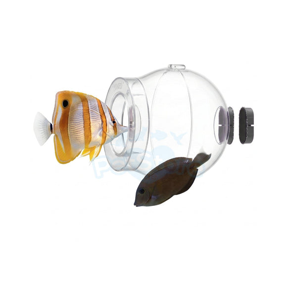 VASTOCEAN Aquarium Accessories / Aquarium Cleaner Tools VASTOCEAN Floating Fish Trap Ball – Stress-Free Invisible Trap