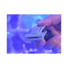 VASTOCEAN Aquatic Accessories VASTOCEAN Magnetic Seaweed & Algae Feeding Clip