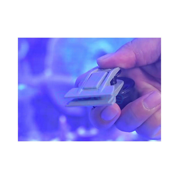 VASTOCEAN Aquatic Accessories VASTOCEAN Magnetic Seaweed & Algae Feeding Clip
