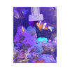 VASTOCEAN Aquatic Accessories VASTOCEAN Magnetic Seaweed & Algae Feeding Clip