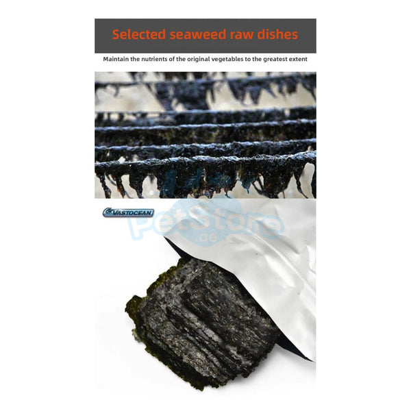 VASTOCEAN Fish, Marine Inverts and Coral Food VASTOCEAN Premium Marine Seaweed Strips – Natural Grazing Food for Saltwater Fish