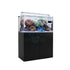 files/waterbox-aquatics-aquarium-tanks-tank-with-black-cabinet-waterbox-clear-mini-30-31-gallon-ultra-clear-rimless-tank-1232733493.jpg
