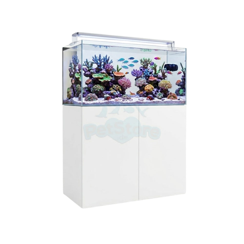 Waterbox CLEAR MINI 30 | 31 Gallon Ultra-Clear Rimless Tank