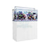 files/waterbox-aquatics-aquarium-tanks-tank-with-white-cabinet-waterbox-clear-mini-30-31-gallon-ultra-clear-rimless-tank-1232733494.jpg