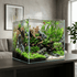 files/waterbox-aquatics-aquarium-tanks-waterbox-clear-mini-20-81l-rimless-low-iron-glass-aquarium-1232552726.png