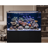 Waterbox Aquatics / Aquarium Tanks Waterbox Frag 145.5 | 150cm Rimless Shallow Reef System
