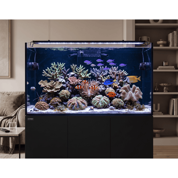 Waterbox Aquatics / Aquarium Tanks Waterbox Frag 145.5 | 150cm Rimless Shallow Reef System