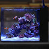 Waterbox Aquatics / Aquarium Tanks WaterBox Peninsula MINI 15 | 60L Rimless Ultra-Clear Glass Tank