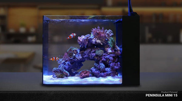 Waterbox Aquatics / Aquarium Tanks WaterBox Peninsula MINI 15 | 60L Rimless Ultra-Clear Glass Tank
