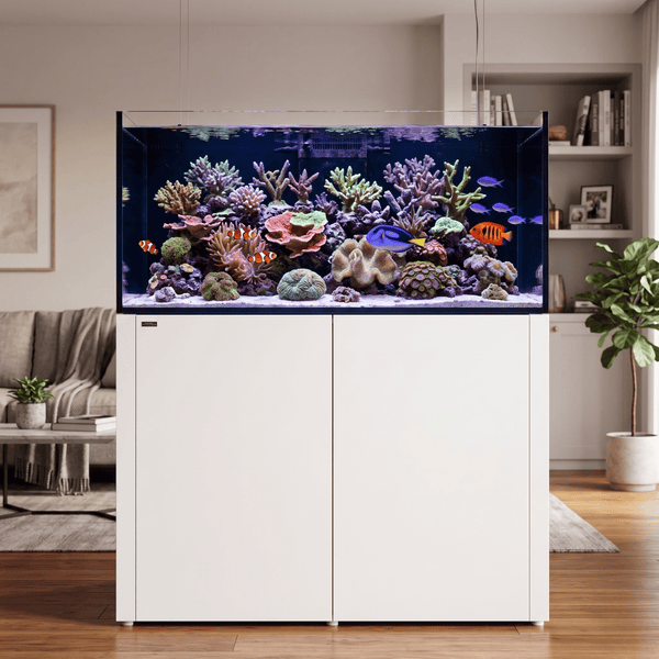 Waterbox Aquatics / Aquarium Tanks Waterbox REEF LX 230.5 Black | 150cm Extra-Wide Reef System