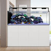 Waterbox Aquatics WaterBox Crystal Peninsula 7225+ | 948L Room Divider Reef Tank