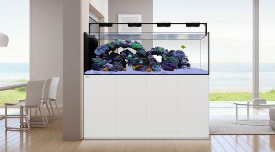 Waterbox Aquatics WaterBox Crystal Peninsula 7225+ | 948L Room Divider Reef Tank