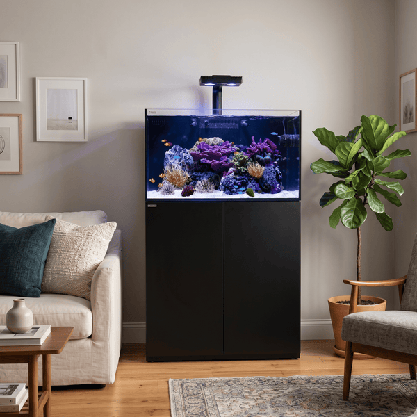 Waterbox Aquatics WaterBox Platinum REEF 100.3 & Cabinet | 363L Reef Ready Tank