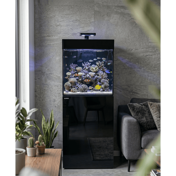 Waterbox Aquatics WaterBox Silver Marine 35.1 & Cabinet | 124L Reef System
