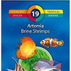 Frozen Artemia Brine Shrimps Blister - Fish Food - 3F - PetStore.ae