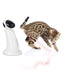 products/afp-all-for-paws-pets-afp-all-for-pets-laser-beam-robot-laser-29772851576994.jpg