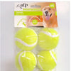 All For Paws - Fetch Ball L / 6 Pck - PetStore.ae