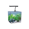 AquaNano 40 Tropical Glass Aquarium (40W x 40D x 40H cm) - Aqua One - PetStore.ae