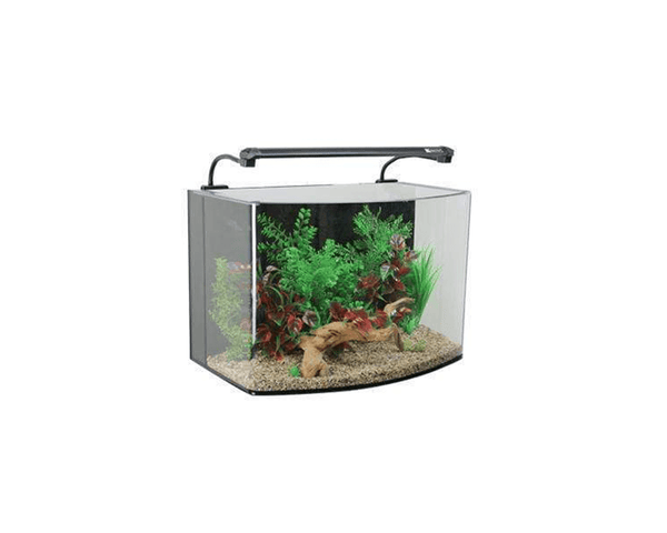 AquaNano 60 Bow Front Aquarium + Cabinet (60W x 38D x 44H +78H cm) - Aqua One - PetStore.ae
