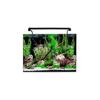 AquaNano 60 Tropical Glass Aquarium (60W x 40D x 44H cm) - Aqua One - PetStore.ae