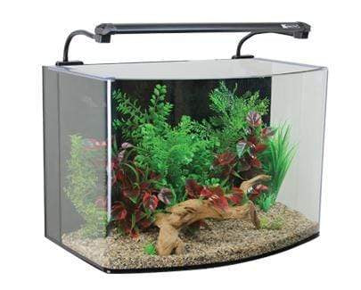AquaNano 80 Bow Front Aquarium + Cabinet (80W x 40D x 47H + 78H cm) - Aqua One - PetStore.ae