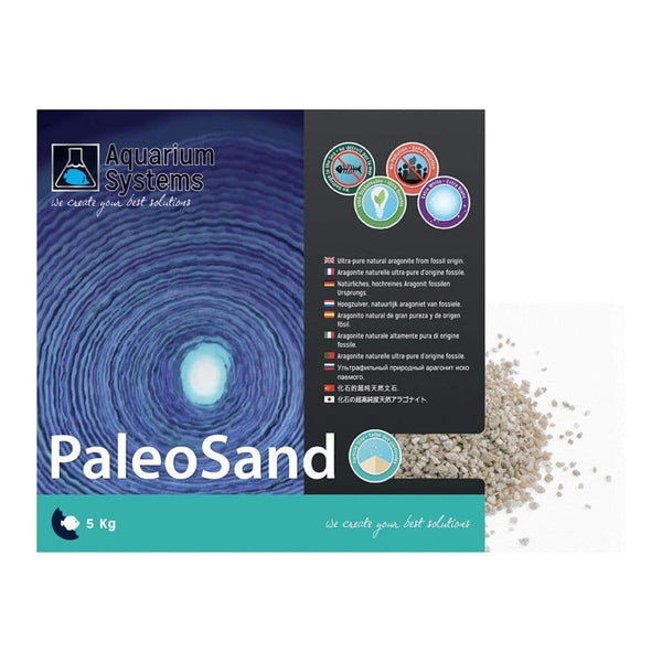 PaleoSand Medium - Aquarium System Solution - PetStore.ae