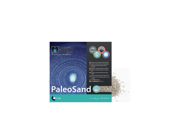 PaleoSand Medium - Aquarium System Solution - PetStore.ae