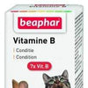 Vitamin B Complex For Pets - Beaphar - PetStore.ae