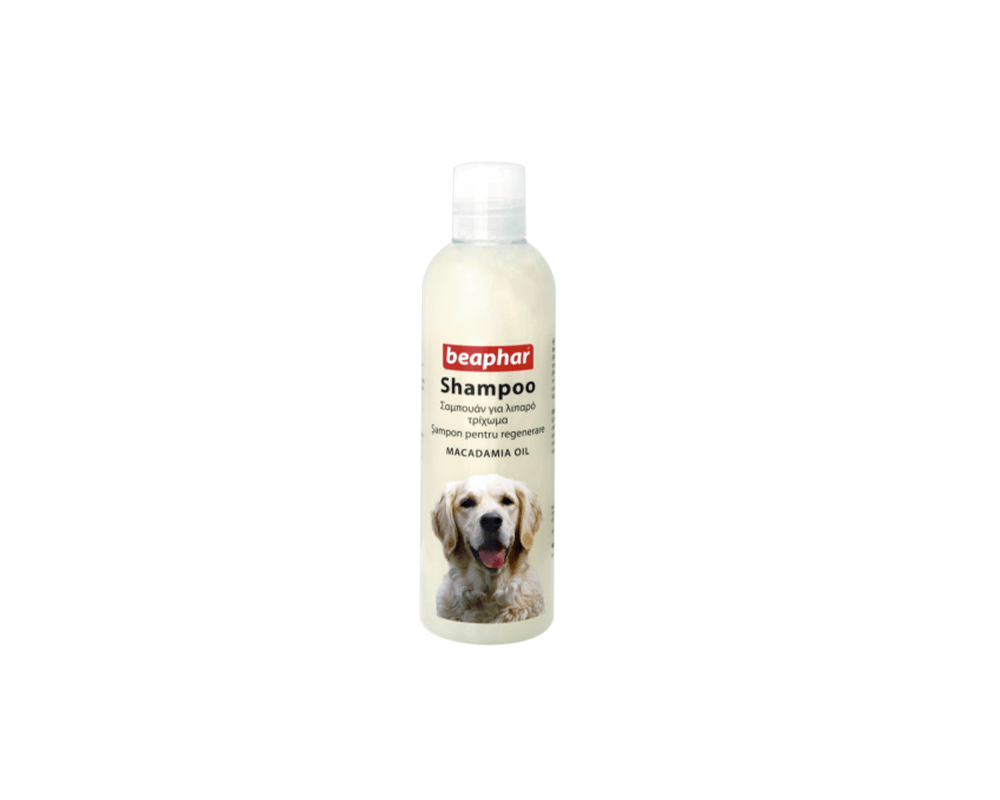 Shampoo Macadamia Oil Dog Shampoo Beaphar PetStore.ae