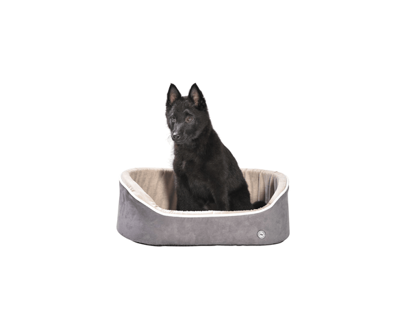 Ollie Basket Pet Bed - Bobby - PetStore.ae