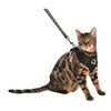Chamane Cat Harness And Lead - Black - Bobby - PetStore.ae
