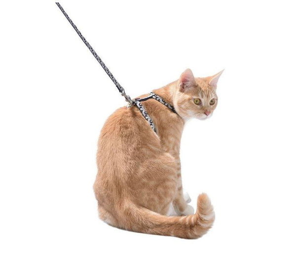 Confetti Cat Harness And Lead - Mauve - Bobby - PetStore.ae