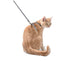 products/bobby-pets-bobby-confetti-cat-harness-lead-mauve-xs-17472920191138.jpg