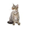 Dots Cat Collar - Beige - Bobby - PetStore.ae